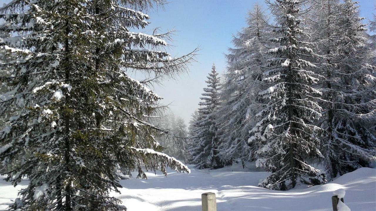 Ferienwohnung Dolomitenpanorama Oberlienz Kültér fotó
