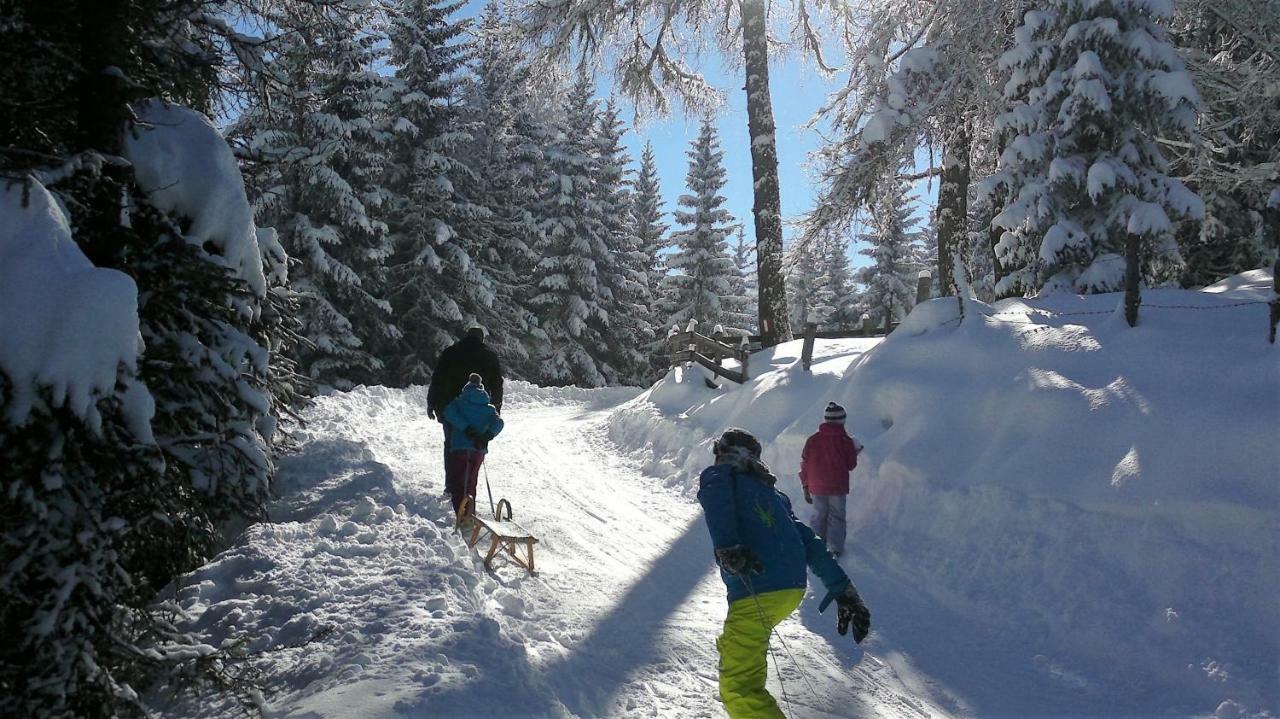 Ferienwohnung Dolomitenpanorama Oberlienz Kültér fotó