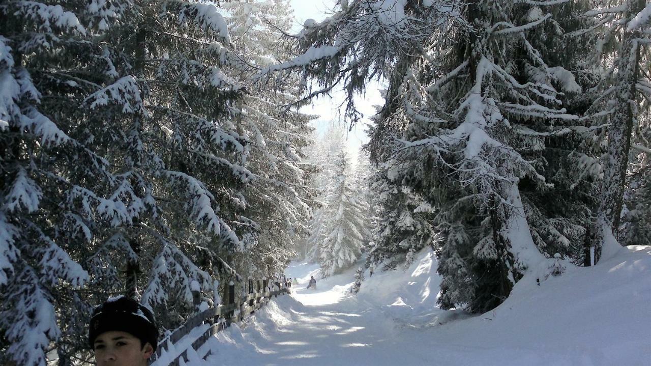 Ferienwohnung Dolomitenpanorama Oberlienz Kültér fotó